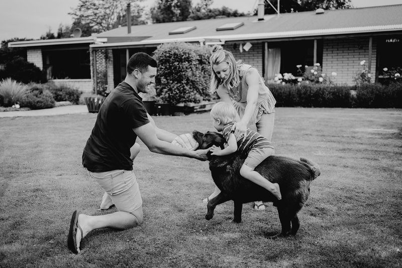 Catlins family photographer