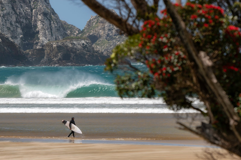 Catlins surfing